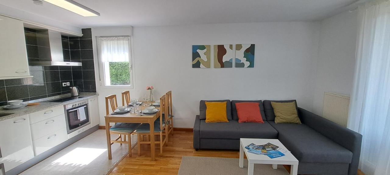 Appartement Lumineux T3 Avec Jardin Privatif A Hendaye - Parking Et Wif Gratuit Εξωτερικό φωτογραφία