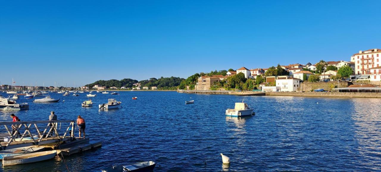 Appartement Lumineux T3 Avec Jardin Privatif A Hendaye - Parking Et Wif Gratuit Εξωτερικό φωτογραφία